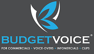 Budget Voice